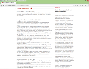 Capture d'écran des commentaires publiés le 31 mai 2014 sous un article mis en ligne le même jour (http://www.lesobservateurs.ch/2014/05/31/viviane-reding/).